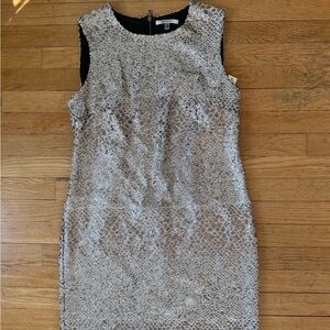 DKNYC Shimmering Silver Mini Dress